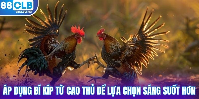 Áp dụng bí kíp từ cao thủ để lựa chọn sáng suốt hơn