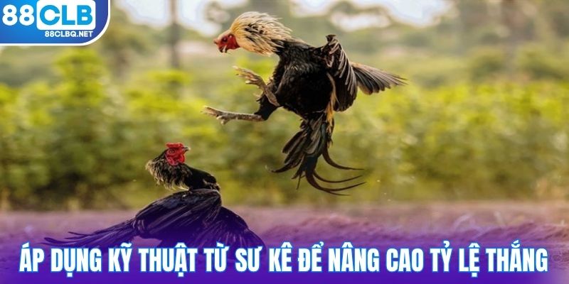 Áp dụng kỹ thuật từ sư kê để nâng cao tỷ lệ thắng