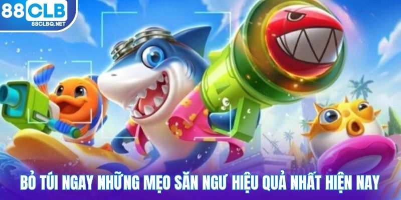 Bỏ túi ngay những mẹo săn ngư hiệu quả nhất hiện nay