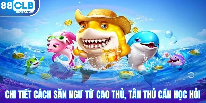 Chi tiết cách săn ngư từ cao thủ, tân thủ cần học hỏi