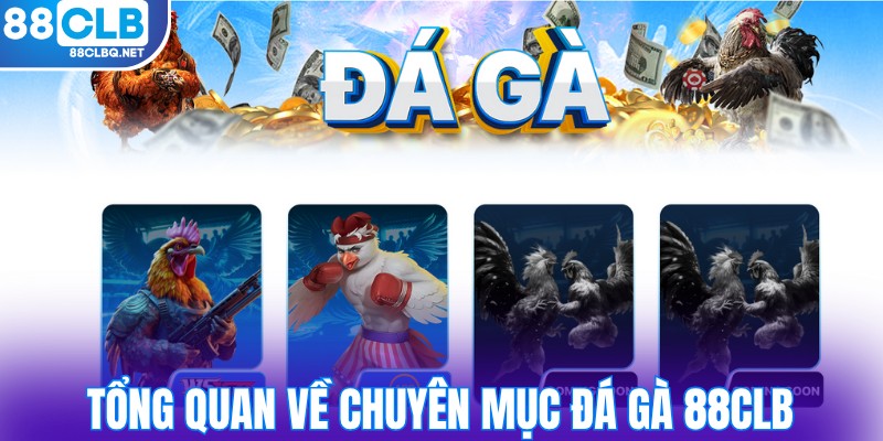 Đôi nét sơ lược về chuyên mục đá gà 88CLB