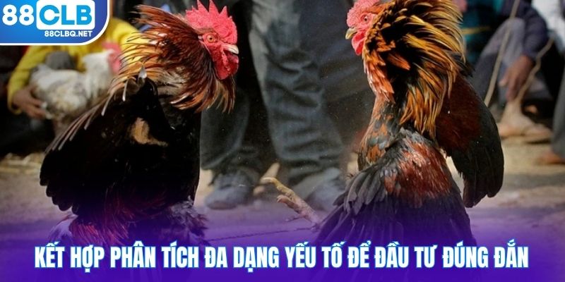 Kết hợp phân tích đa dạng yếu tố để đầu tư đúng đắn