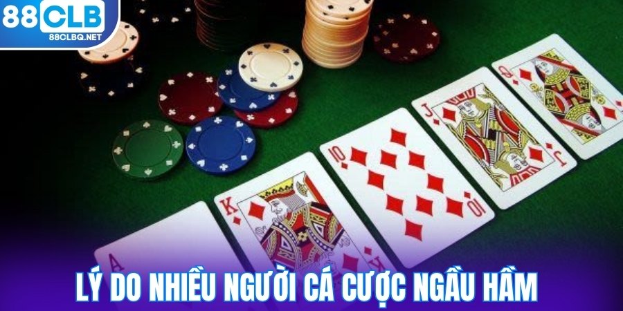 ly do nhieu nguoi ca cuoc ngau ham Lý do nhiều người cá cược ngầu hầm