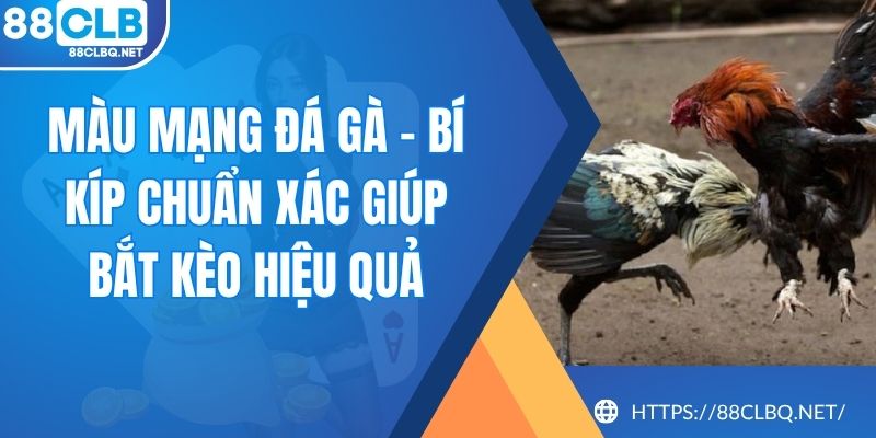 Màu Mạng Đá Gà - Bí Kíp Chuẩn Xác Giúp Bắt Kèo Hiệu Quả