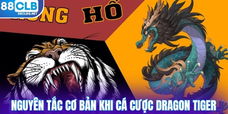 nguyen tac co ban khi ca cuoc dragon tiger Nguyên tắc cơ bản khi cá cược dragon tiger