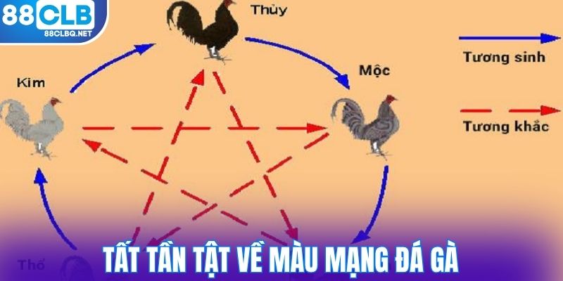 Tất tần tật về màu mạng đá gà 